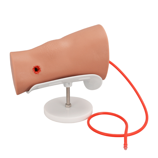 Compact Silicone Through-and-Through Gunshot Wound Model