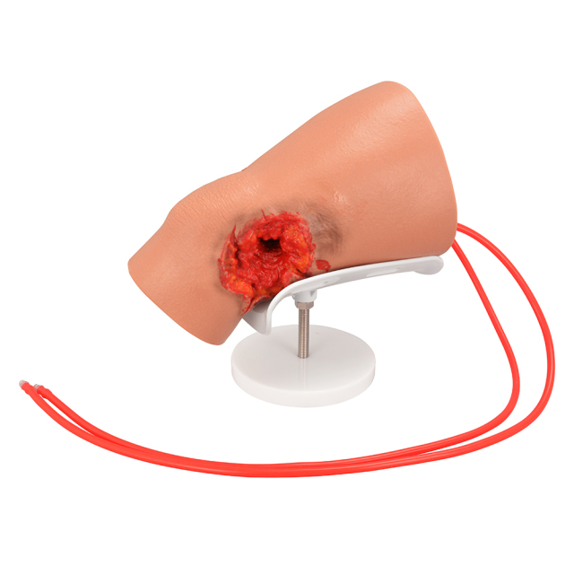 Compact Silicone Knee Gunshot Wound Model