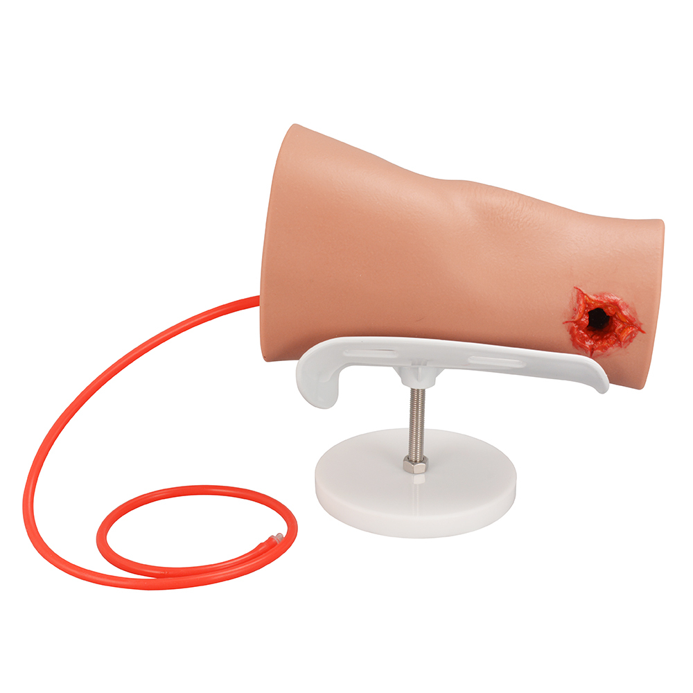 Compact Silicone Through-and-Through Gunshot Wound Model