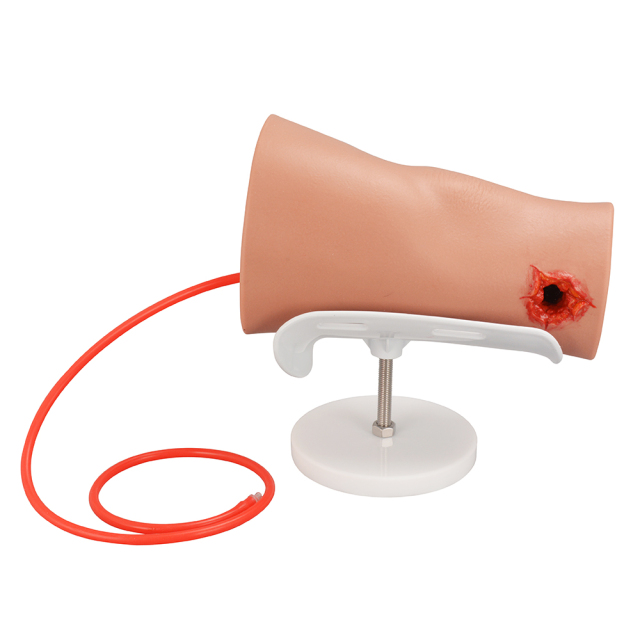 Compact Silicone Through-and-Through Gunshot Wound Model