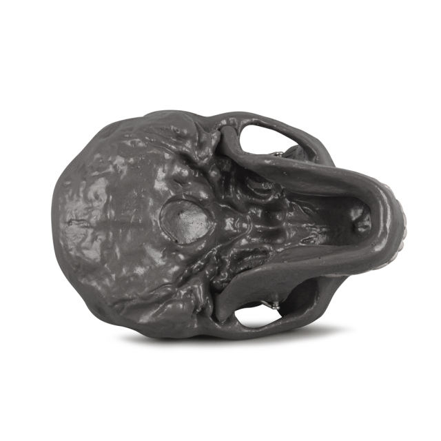 Peking Man Skull Model