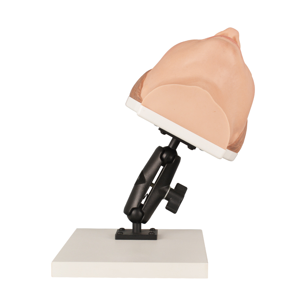 Multi-angle Female Injection Training Silicone Mannequin