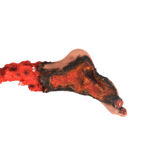 Right Partial Amputated Leg Simulator, Wearable