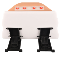 Desktop Ostomy Training Model with Adjustable Metal Stand