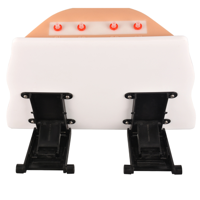 Desktop Ostomy Training Model with Adjustable Metal Stand