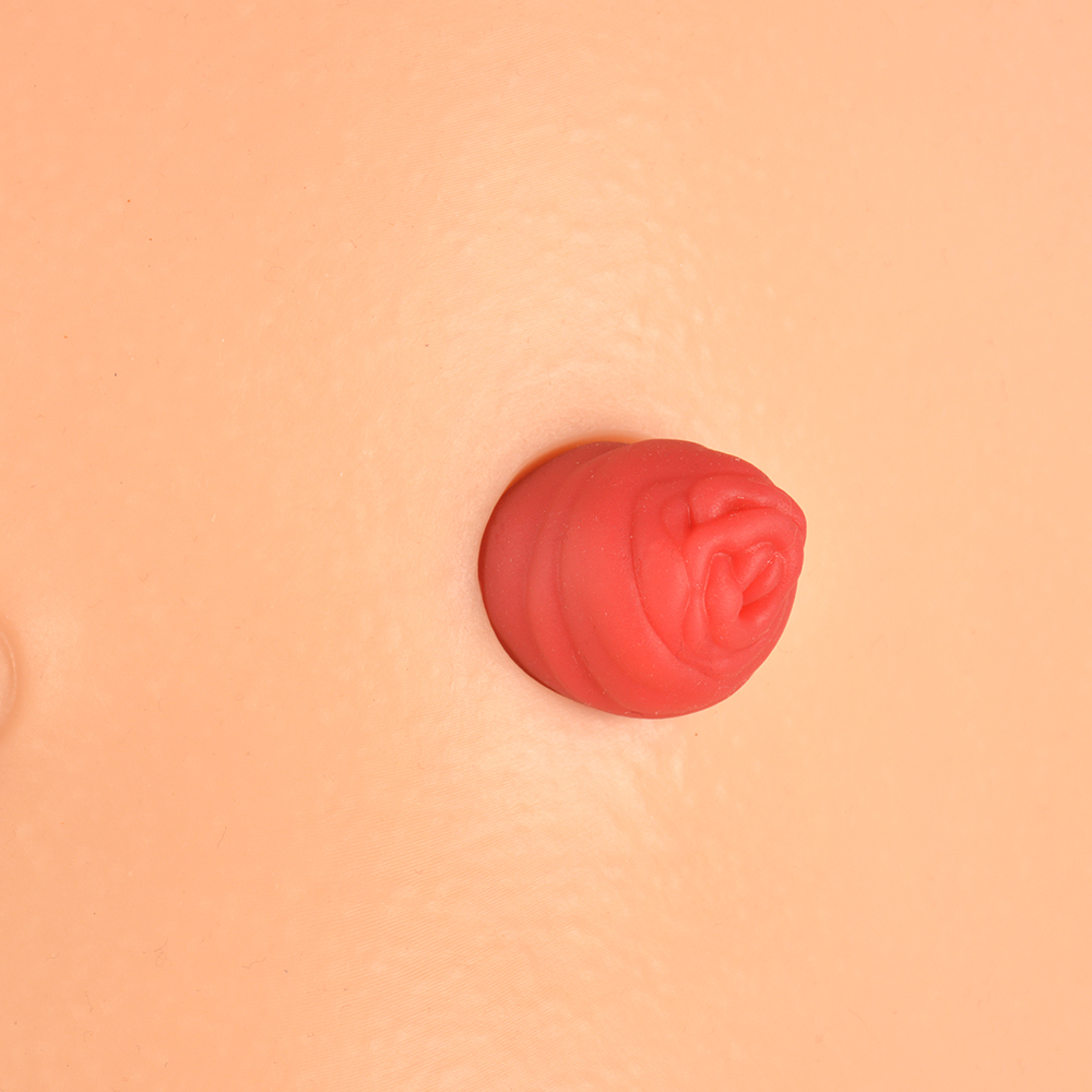 Desktop Ostomy Training Model with Adjustable Metal Stand