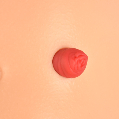 Desktop Ostomy Training Model with Adjustable Metal Stand