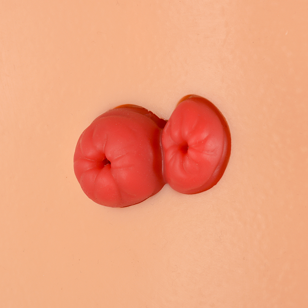 Desktop Ostomy Training Model with Adjustable Metal Stand