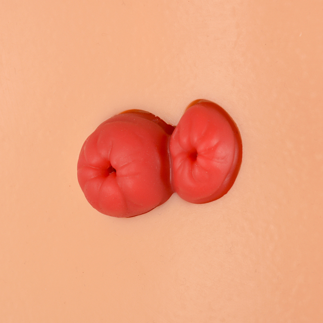 Desktop Ostomy Training Model with Adjustable Metal Stand