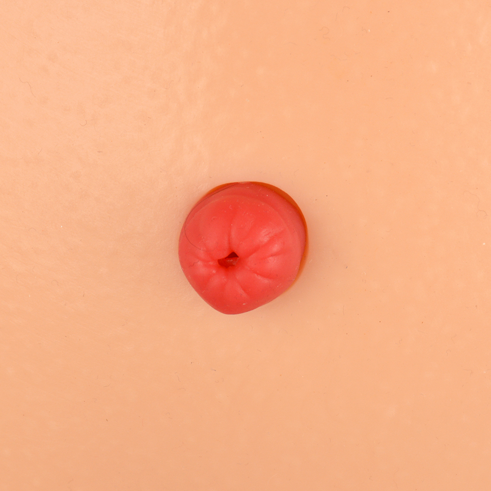 Desktop Ostomy Training Model with Adjustable Metal Stand