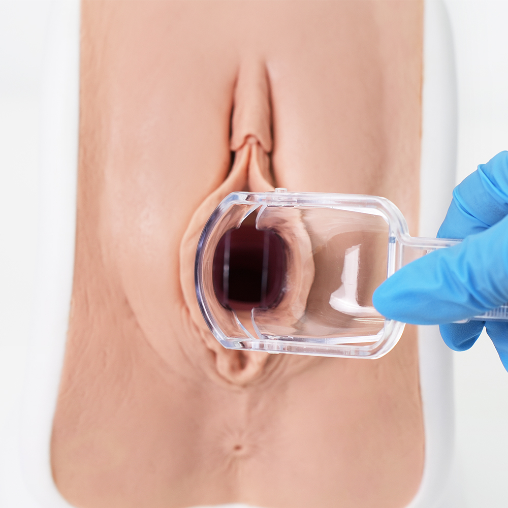 Gynecological Examination Simulator (Realistic Version)