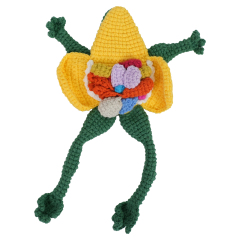 Hand-made Crochet Anatomical Frog
