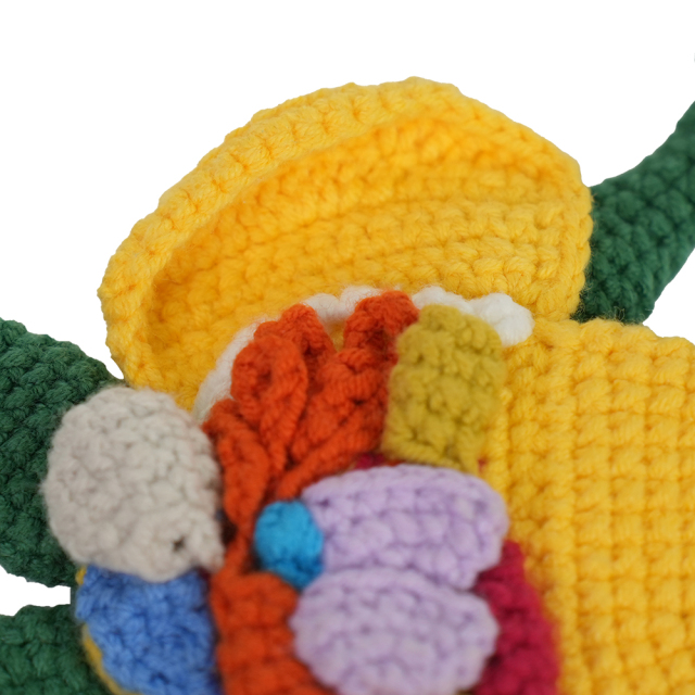 Hand-made Crochet Anatomical Frog