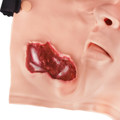 Bleeding Jaw Fracture Trauma Simulator