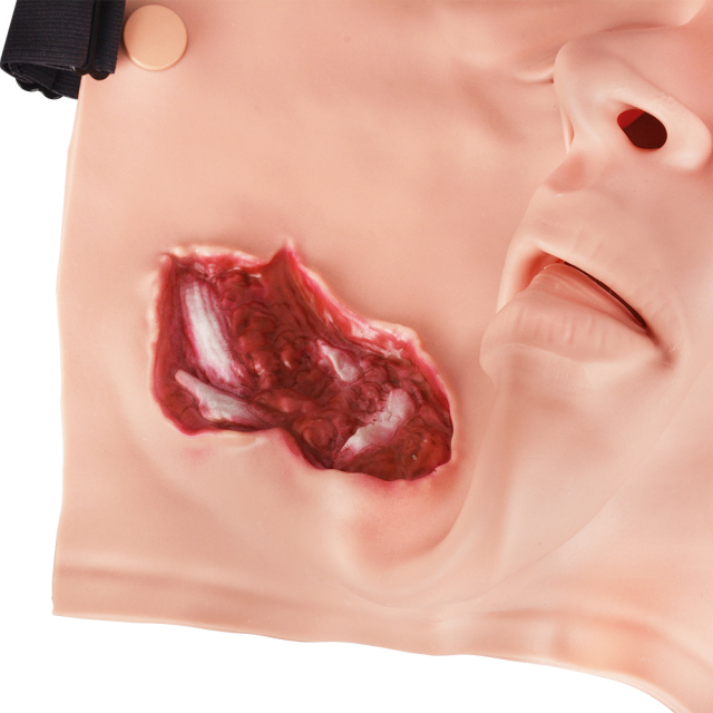 Bleeding Jaw Fracture Trauma Simulator
