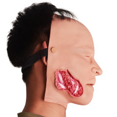 Bleeding Jaw Fracture Trauma Simulator