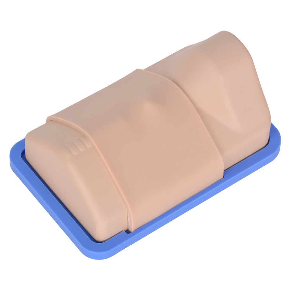 Portable Cricothyrotomy Simulation Trainer