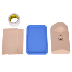 Portable Cricothyrotomy Simulation Trainer