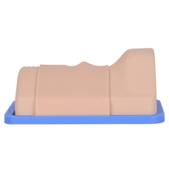 Portable Cricothyrotomy Simulation Trainer