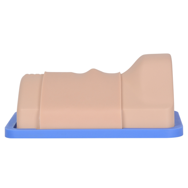 Portable Cricothyrotomy Simulation Trainer