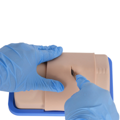 Portable Cricothyrotomy Simulation Trainer