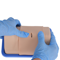 Portable Cricothyrotomy Simulation Trainer