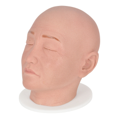 Full Head Injection Mannequin With Female Features