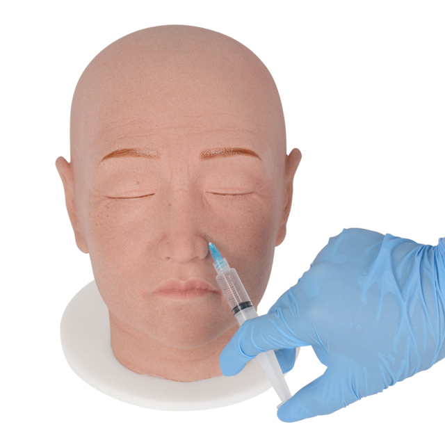 Full Head Injection Mannequin With Female Features