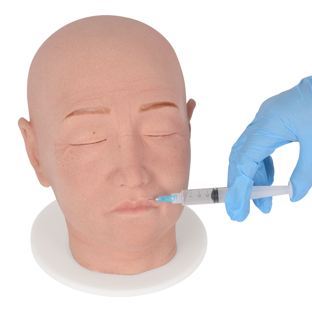 Full Head Injection Mannequin With Female Features