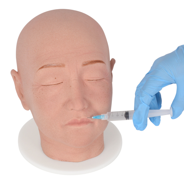 Full Head Injection Mannequin With Female Features
