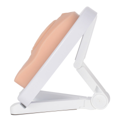 Episiotomy Multi-Incision Training Model