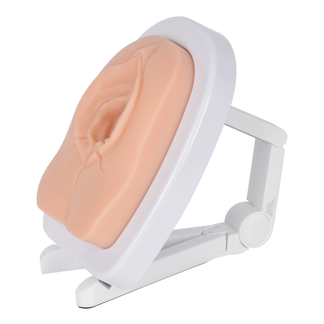 Episiotomy Multi-Incision Training Model