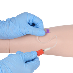 Phlebotomy Practice Arm With Replaceable Skin Design