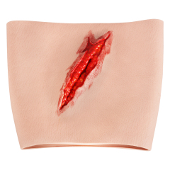 Simulation Thigh Stab Injury Model