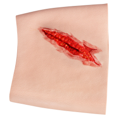 Simulation Thigh Stab Injury Model