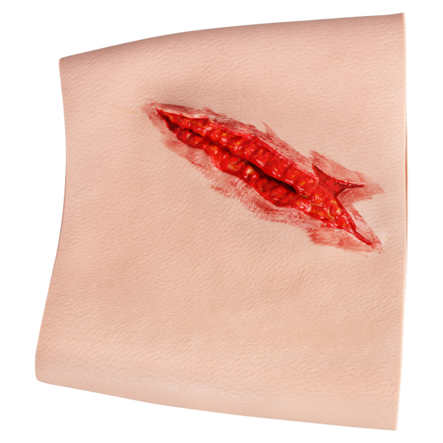 Simulation Thigh Stab Injury Model