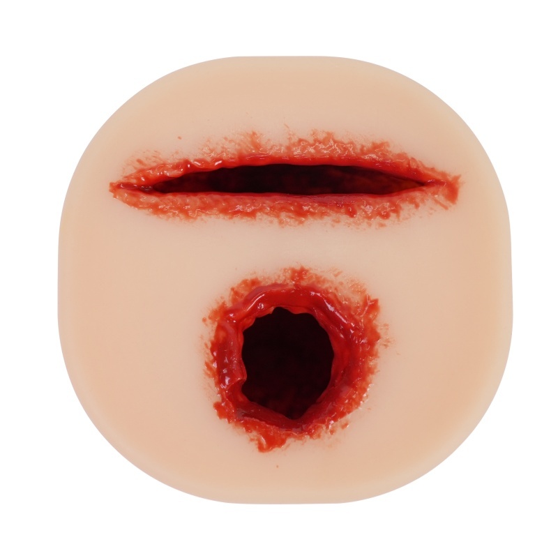 Cut And Bullet Wound Packing Training Model