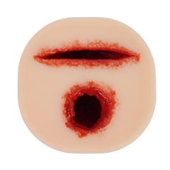 Cut And Bullet Wound Packing Training Model