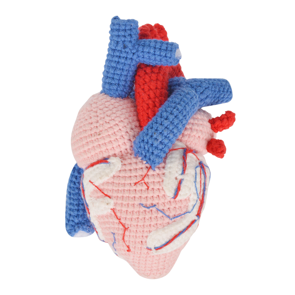 Handcrafted Crochet Human Heart Model