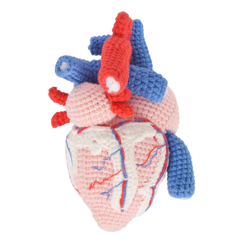 Handcrafted Crochet Human Heart Model
