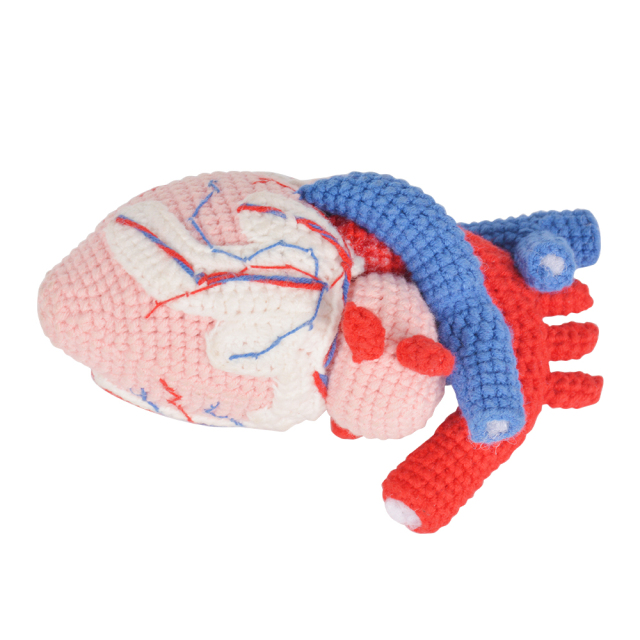 Handcrafted Crochet Human Heart Model