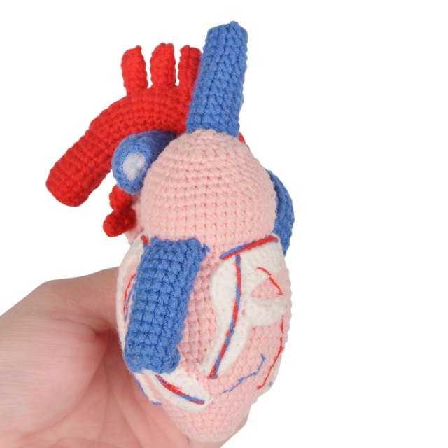 Handcrafted Crochet Human Heart Model