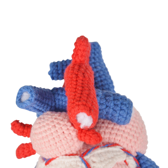 Handcrafted Crochet Human Heart Model