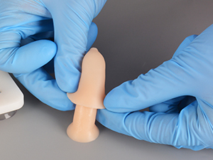 Infant Circumcision Training Model with Replaceable Foreskin