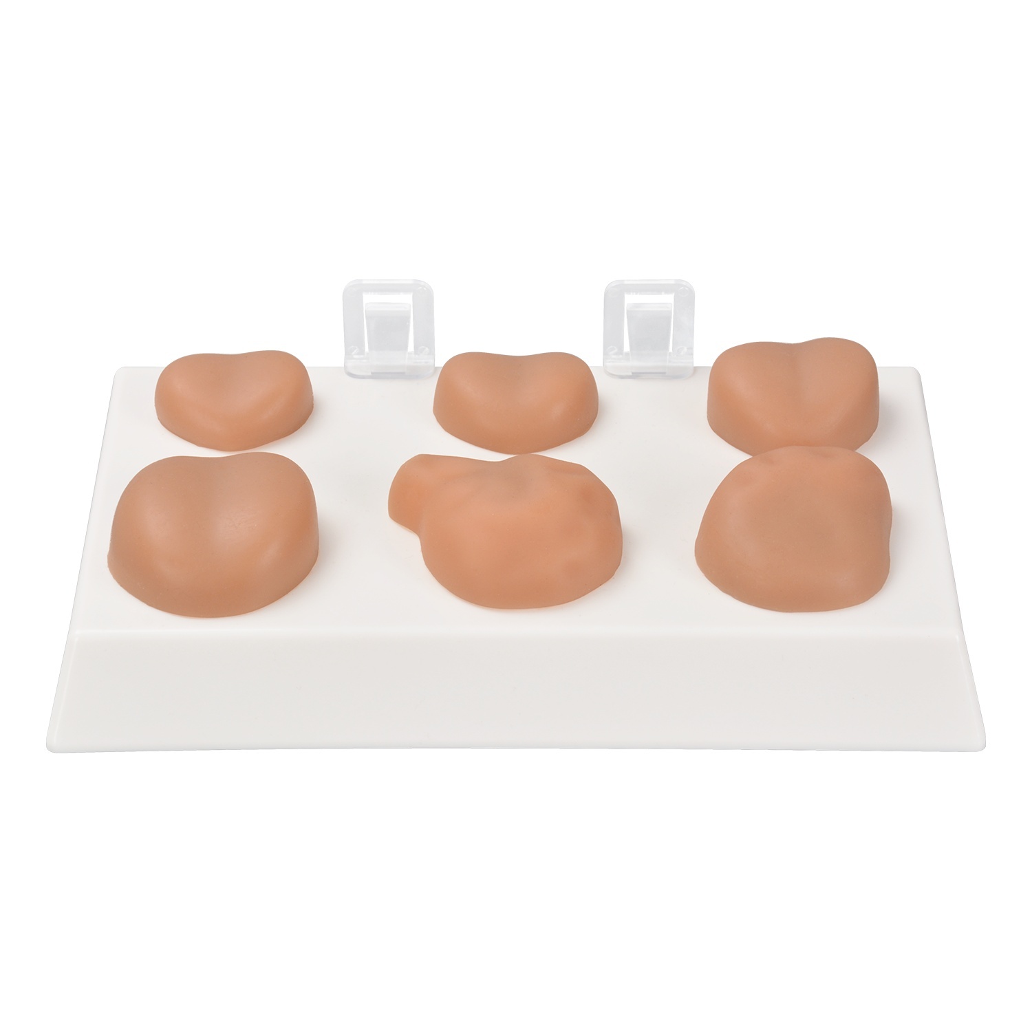 Prostate Palpation Education Model
