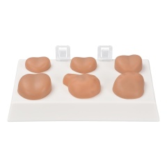 Prostate Palpation Education Model