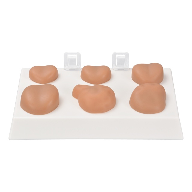 Prostate Palpation Education Model