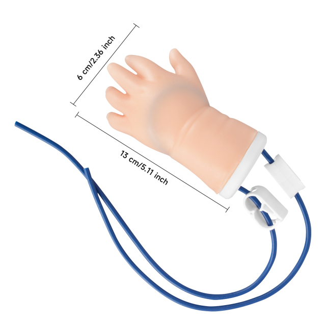 Pediatric IV Practice Kit with Infant Hand & Foot Model