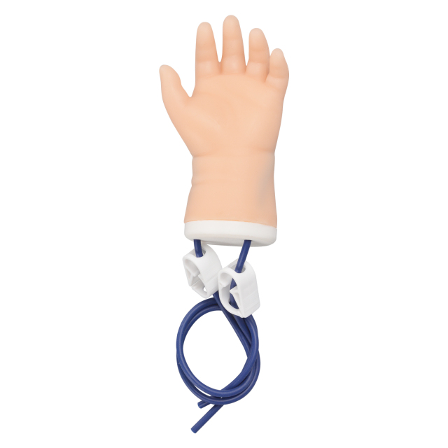 Pediatric IV Practice Kit with Infant Hand & Foot Model