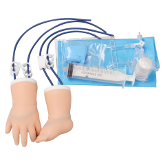 Pediatric IV Practice Kit with Infant Hand & Foot Model